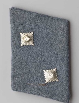 SA Truppführer Collar Tabs (light blue version) Obverse