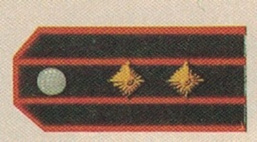German Army Foreign Units Oberst Shoulder Boards Obverse