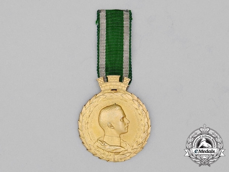 Decoration for Art and Science, Type V, Gold Medal with Crown (with laurel wreath) Obverse