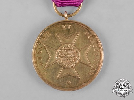 Saxe-Altenburg House Order Medals of Merit, Type IV, Military Division, in Gold (swords on clasp) Reverse