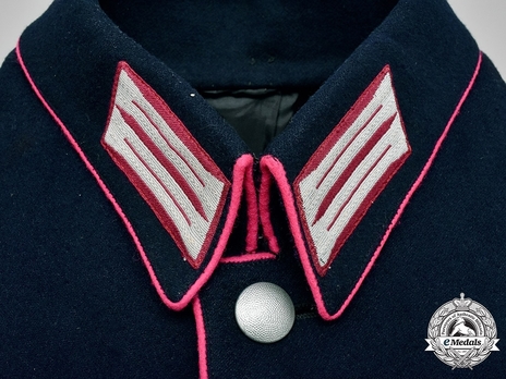 German Fire Protection Police NCO/EM's Service Tunic Collar Detail