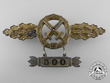 Air-to-Ground Support Clasp, in Gold (with "300" pendant) Obverse