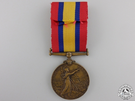 Bronze Medal (minted without date) Reverse