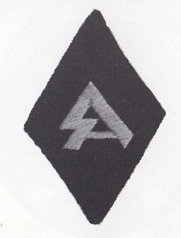 Waffen-SS SA Service Identification Badge Obverse