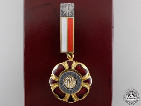 Decoration for Merit to Polish Culture Obverse