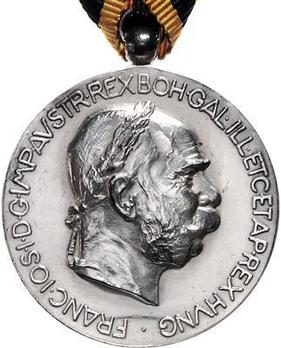 Jubilee Medal for Foreigners, Silver
