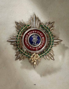House Order of Duke Peter Friedrich Ludwig, Military Division, Grand Cross Breast Star (with laurel wreath) Obverse