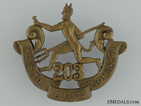 203rd Infantry Battalion Other Ranks Cap Badge (Void) Obverse