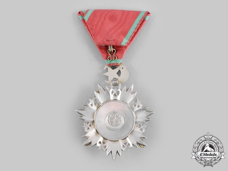 Order of Medjidjie, Military Division, V Class Reverse
