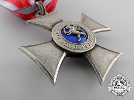 Order of Philip the Magnanimous, Type II, Silver Cross (1859-1918) Reverse