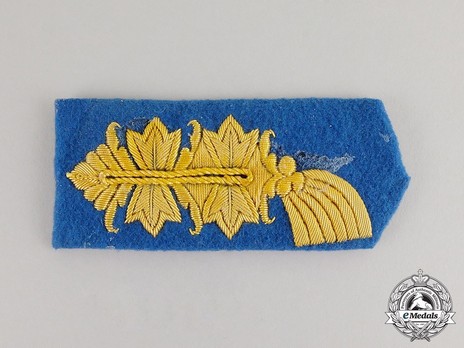 German Army General Ranks Collar Tabs (specialist career blue version) Obverse