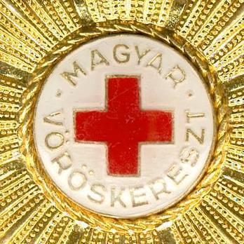Hungarian Red Cross 100 Years Anniversary Medal Obverse Detail