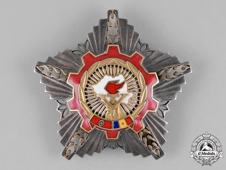 Order of the Victory of Socialism, Breast Star (in silver gilt) Obverse