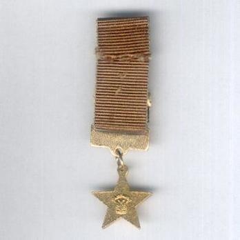 Miniature NDF Campaign Medal Reverse