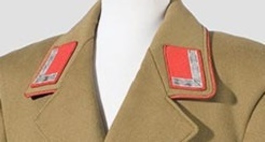 NSDAP Stellenleiter Type III Gau Level Collar Tabs Obverse