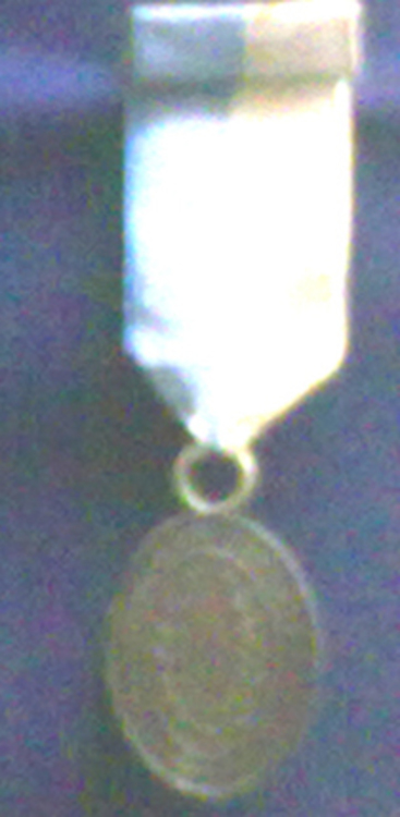 Medal+of+argentine+nation+to+those+wounded+in+combat+obverse