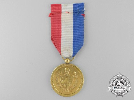 Medal for Long Service in the Fuerzas Armadas Revolucionarias (in Bronze) Reverse