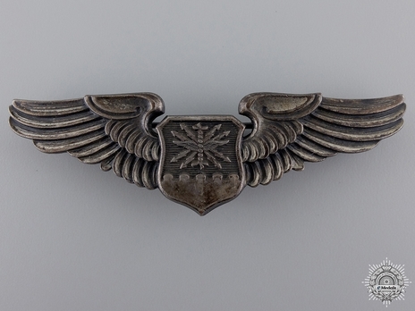 Basic Wings (with copper) Obverse