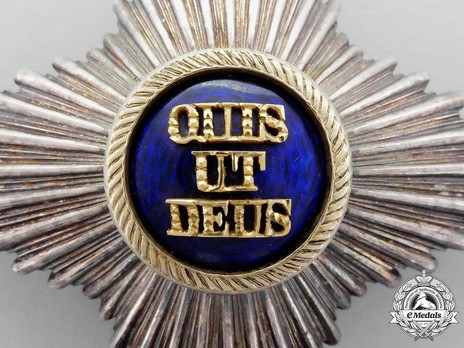 Royal Order of Merit of St. Michael, II Class Cross Breast Star (with smooth rays) Obverse Detail