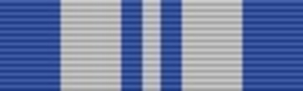 Correctional services medal3