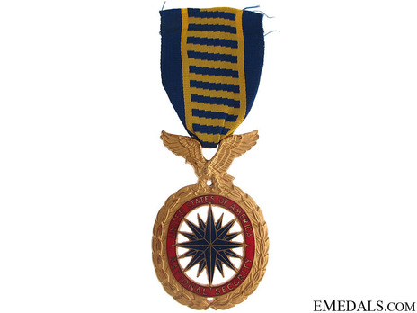 National Security Medal Obverse