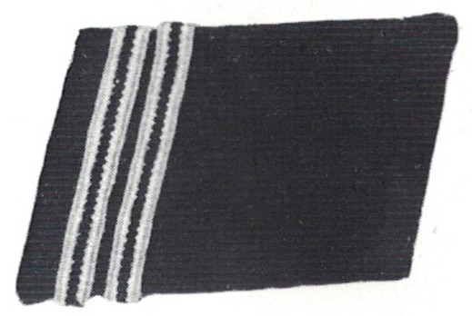 Allgemeine SS Rottenführer Collar Tabs (post-1940 version) Obverse
