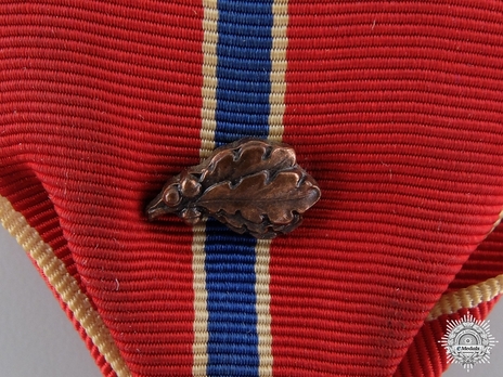 Bronze Star (with oak leaf emblem) Clasp Detail