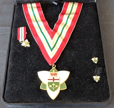 Order of Ontario, Medal with Lapel Pins