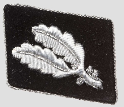 Allgemeine SS Pre-1942 Oberführer Collar Tabs Obverse