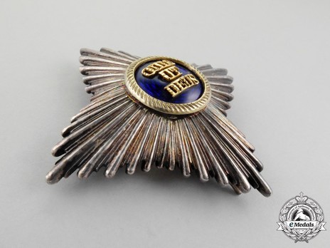 Royal Order of Merit of St. Michael, II Class Cross Breast Star (with smooth rays) Obverse