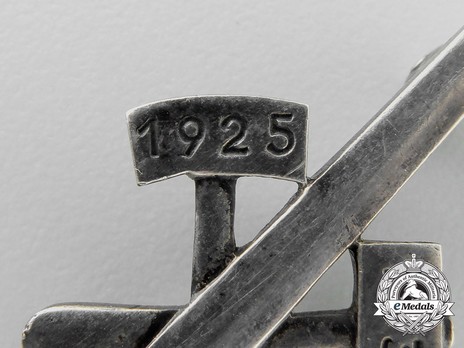 Gau Honour Badge Essen, in Silver Obverse Detail