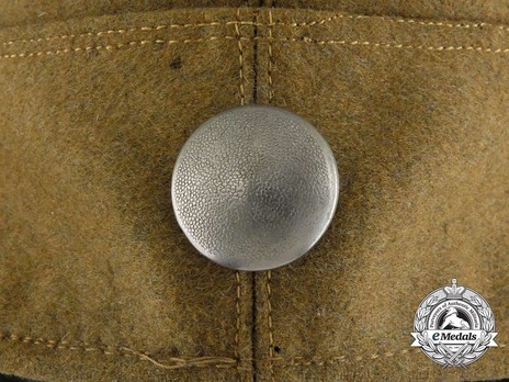 SA Field Cap (steel-green version) Button Detail