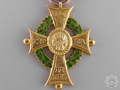 Dukely Order of Henry the Lion, I Class Merit Cross (in gold) Obverse