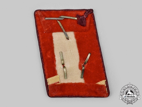 NSDAP Haupt-Bereitschaftsleiter Type IV Gau Level Collar Tabs Reverse