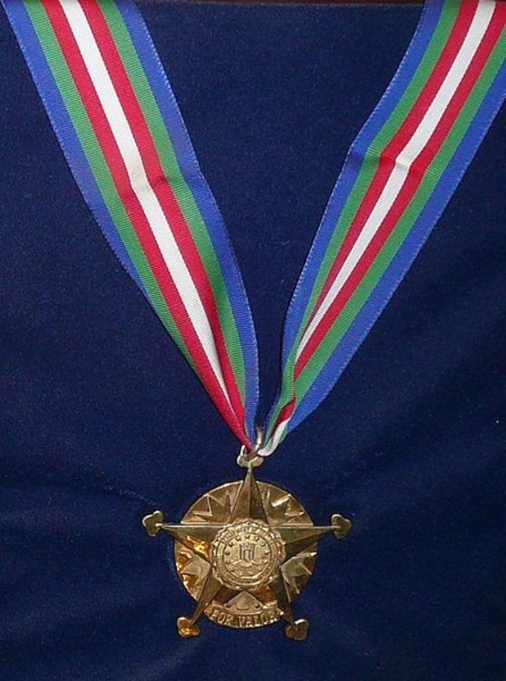 446px fbi medal of valor