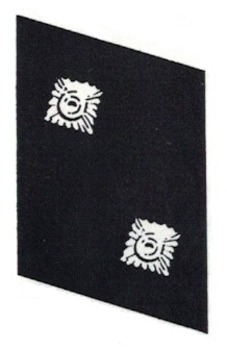 Allgemeine SS Oberscharführer Collar Tabs (post-1940 version) Obverse