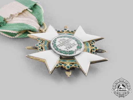 Order of Merit, Type II, Military Division, I Class Knight Reverse