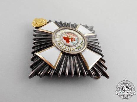 Order of the Red Eagle, Civil Division, Type V, II Class Breast Star (with oak leaves) Obverse