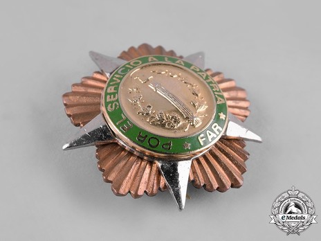 Order for Service to the Country and the Revolutionary Armed Forces, III Class Obverse