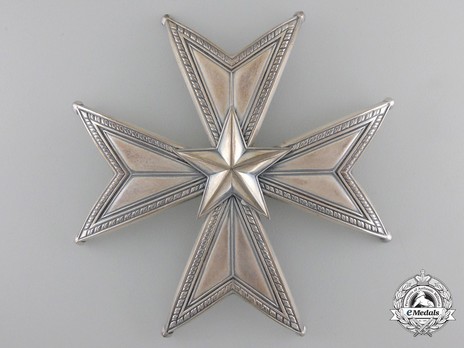 I Class Commander Breast Star (with silver by C. F. Carlman) Obverse