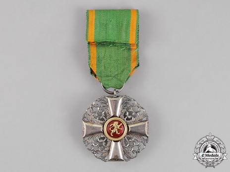 Order of the Zähringer Lion, II Class Knight Reverse