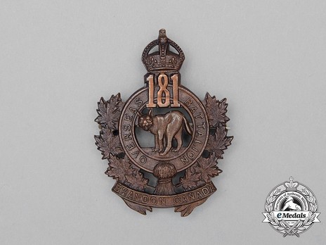 181st Infantry Battalion Other Ranks Cap Badge Obverse