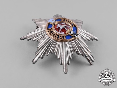 Dukely Order of Henry the Lion, I Class Breast Star Reverse