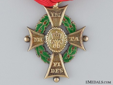 Dukely Order of Henry the Lion, I Class Merit Cross (in silver gilt) Obverse