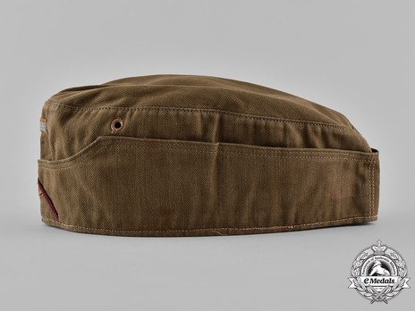 German Army Tropical Smoke & Chemical Field Cap M35 Left Side