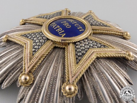 Military Order of Max Joseph, Grand Cross Breast Star Obverse Detail
