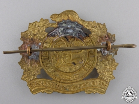 Lake Superior Regiment Other Ranks Cap Badge Reverse