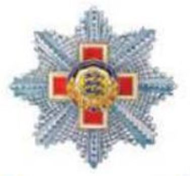 Order of the Estonian Red Cross, II Class Breast Star Obverse