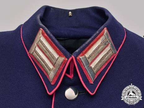 German Fire Protection Police Officer's Service Tunic Collar Detail