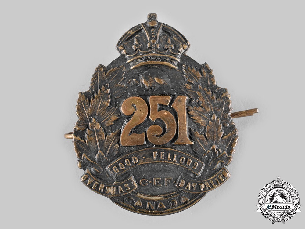 251+battalion+badge